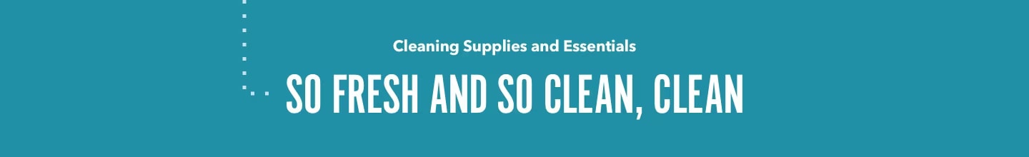 Cleaning Supplies and Essentials So Fresh and So Clean, Clean