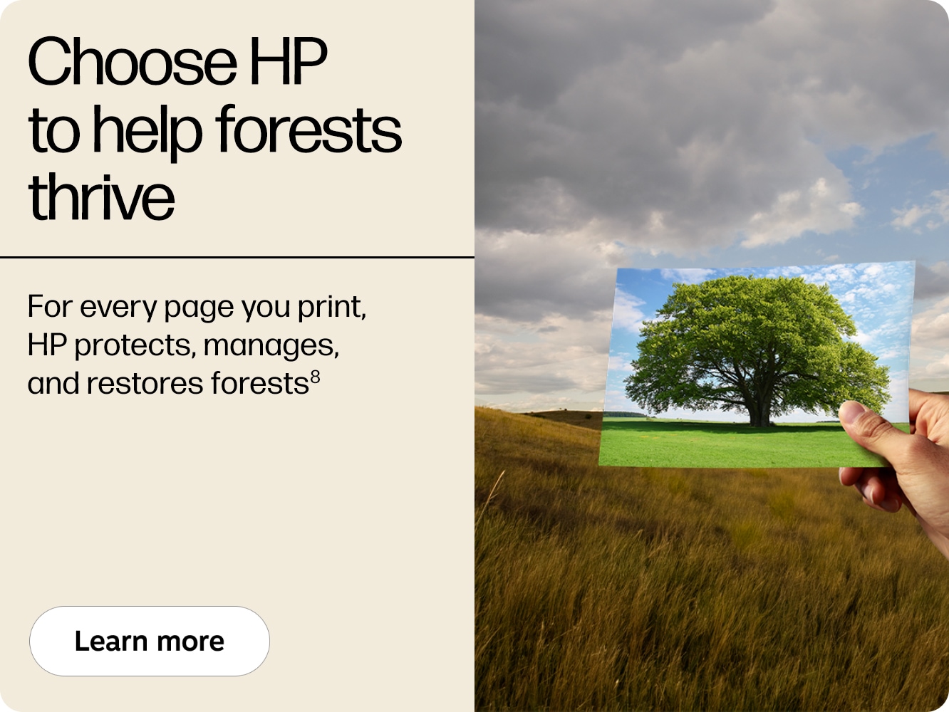 Choose HP to help forests thrive For every page you print, HP protects, manages, and restores forests⁸ Learn more