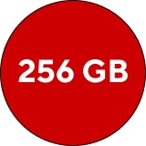 256 GB