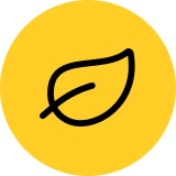 Eco-Friendly Supplies