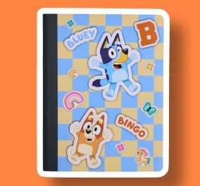 Bluey™ & friends